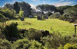 Grand Concours Tir Nature à BIZANET